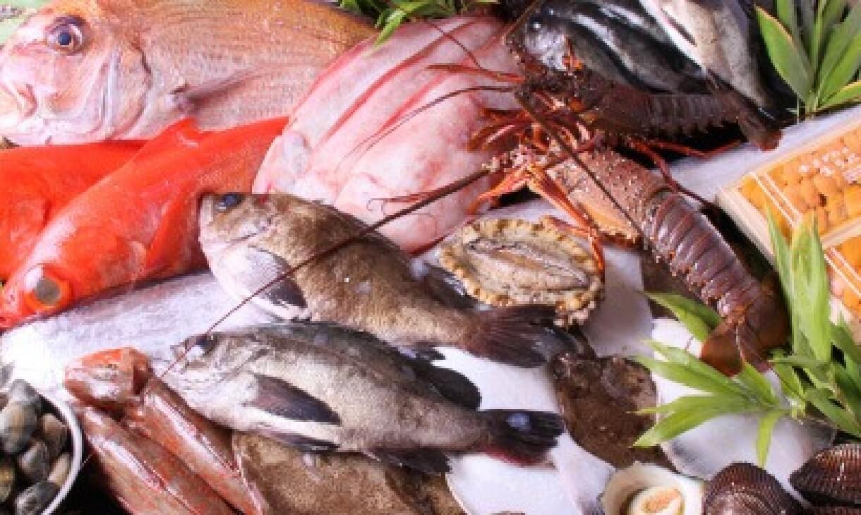 産地直送の新鮮な海の幸